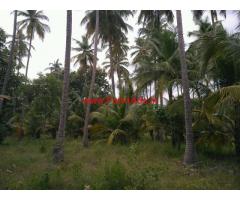 4.5 Acre farm land for sale in near vathalakundu, dindigul