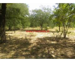 13 acres tamarind trees farm for sale at chilmathur - Ananthapur