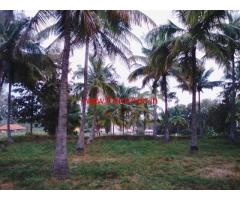 3 acre coconut farm land for sale near Magadi
