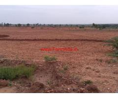 16 Acres Farm land for rent or lease at Hindupur, close to Bangalore
