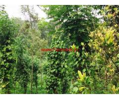 3 Acre Agriculture land with Farm House for sale at Konnathadi, Adimali