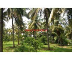 9.5 Acres coconut plantation for sale Govindapuram State Highway
