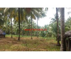 10 Acres Coconut Plantation for sale at Chittur - Palakkad