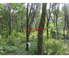 27 Cents square plot of rubber plantation for sale at Kozhuvanal, Palai