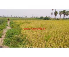 30 Acres Agriculture land for sale at Produtur - Valigoda - Yadgiri