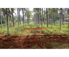 5.5 Acre Coconut Farm for sale near KB Cross, Chikkanayakanahalli