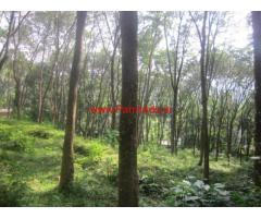 90 cents of Rubber plantation for sale at Erumeli, Mukkuttuthara, Kottayam