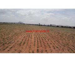 2.5 Acres Agriculture land for sale in Bagepalli.