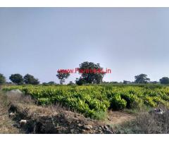 5 Acres Farm land for sale near Vikrabad Town - Telangana