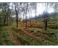 124 cent + 40 cent viriv Rubber plantation for sale at Perumbavoor