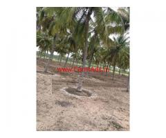16 Acres Coconut Farm for sale on Pollachi - Udumalpet main road
