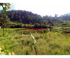 2 Acre 40 Gunte Agriculture Land For Sale near Kalasa - Mudigere