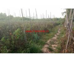 7 Acres Cheap Agriculture Farm land for sale near Madanapalle