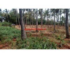 52 Acre Agricultural land for sale at Mukoodal - Tirunelveli