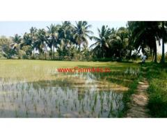 3.15 Acre Coconut Farm for sale at Tharuvai - Tirunelveli