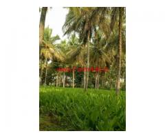 15 Acres Coconut and Mango Farm for sale on Nanjangud Road