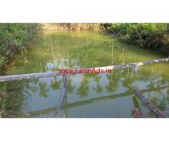 3.80 Acres Agriculture Land for sale near Mananthavady - Wayanad