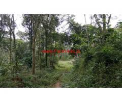 1.30 acre land with illam house available in Wayanad near Mananthavady