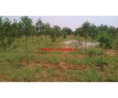 Farm land 9.63 acre for sale on Tirunelveli to kollam high way