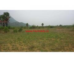 50.21 Acres Fertile Develeoped Farm Land for sale at Tirunelveli
