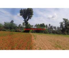 7 acres of Agriculture farm land is available for sale at near Thally