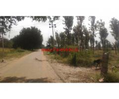 3.75 acres agricultural land available for sale at Bagepalli