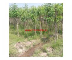 2.5 acre agriculture land for sale in kopalasamuthiram,  tirunelveli