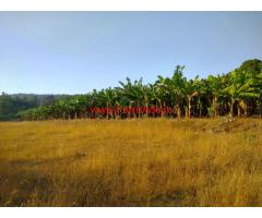 9 Acres Land near Goa and Belgaum giving minimum 5 lac income