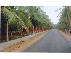 40 Acres High Yeilding Coconut Farm for sale near Periyapodhu
