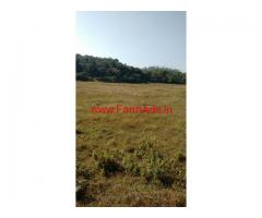 3 acre agriculture land for sale at Mudigere. Chikmgaluru