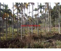 1 Acre agricultural land with house for sale at Poothadi - Wayanad