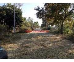 2.30 Acres Coconut Farm for sale at Chennapatna