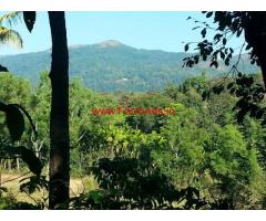 9 acre Areca and Coffee farm land for sale on Aldur - balehonnur road