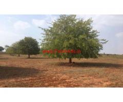 3 Acre Agricultural Farm land for sale in Thally towards jawalagiri
