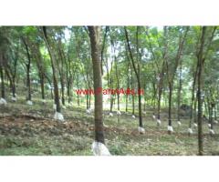 20 Acres Fully Tapping Rubber Estate for sale at Udupi.