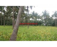 2.5 Acres Coconut Farm for sale at Chittur - Palakkad