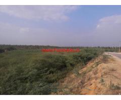 200 acres plain land for sale at Hassan