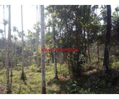 1.5 acre arecanut farm land for sale at Nadavayal, Wayanad
