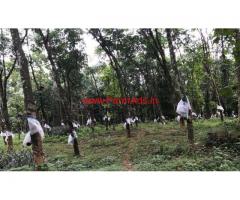 2.25 acre residential agriculture land for sale in Pala Thodanal