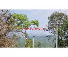 2.5 Acres Coffee Estate for sale in Chikkamagaluru