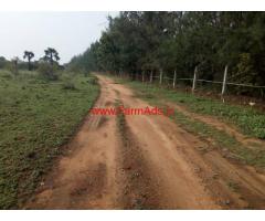 650 acre agricultural land for sale at Tirunelveli