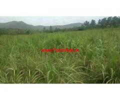 Agriculture land of seven acres for sale at Odugathur - Ambur