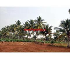 Agricultural land for sale - 11 acres in Sathyamangalam