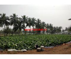 Agricultural land for sale - 11 acres in Sathyamangalam