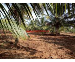 7 acres coconut farm for sale at Channapatna, 78 KMs from Bangalore