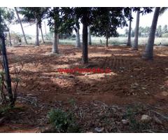 5 acre agriculture land for sale in Thadhankulam - Seithunganallur
