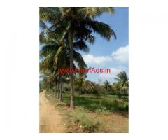 1.5 Acres Coconut Farm for sale 15 KMS from ring road, Mysore.