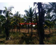 30 Acres Farm Land for sale near Chikballapura