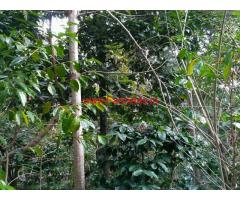 2 Acres Coffee Farm Land for sale at Kodaikanal Hills