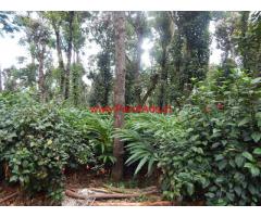 12 acer cardamom plantation for sale at Idukki